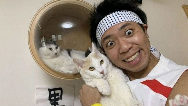サンシャイン池崎の飼い猫がかわいい|スマイルのその後も紹介|ゆるぐら