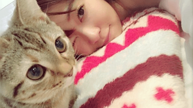 指原莉乃が飼っている猫の名前や種類は マルチカンがかわいすぎる ゆるぐら