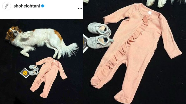 大谷翔平の子どものベビー服のメーカーと値段は?ピンクの服と似た安いブランドも紹介